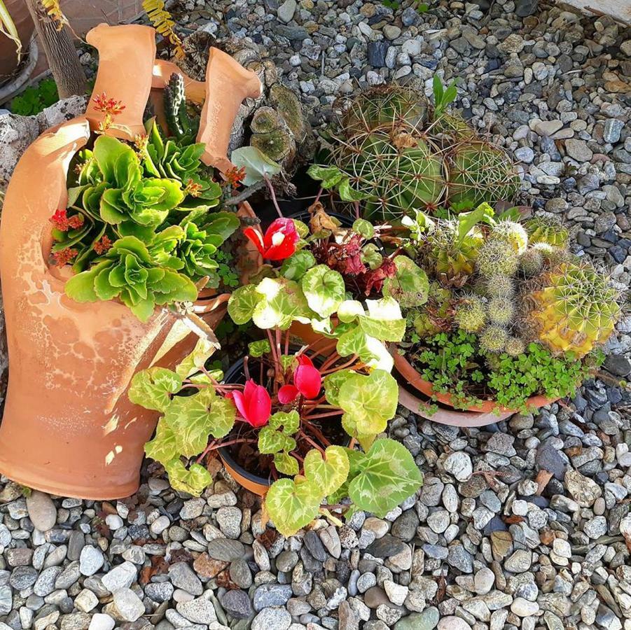 Bed and Breakfast La Dimora Degli Artisti Catanzaro Zewnętrze zdjęcie